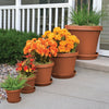 Bloem Terra 12.75 in. H X 15 in. W Resin Traditional Planter Terracotta Clay - Deal of The Week
