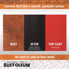 Rust-Oleum Stops Rust Indoor and Outdoor Black Protective Paint 10.25 oz. (Pack of 6)