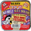 C&S CS12543 11.75 Oz Berry Delight No Melt Suet Dough Wild Bird Food