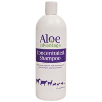 Aloe Advantage Concentrate Shampoo 10x 1 qt.