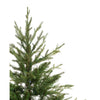 Celebrations 3 ft. Full LED 50 ct Fraser Fir Potted Color Changing Porch Bush