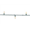 Celebrations Platinum LED C6 Warm White 50 ct String Christmas Lights 25 ft.