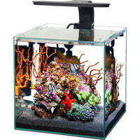 Aqueon Framless Cube Aquarium