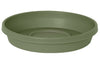 Bloem Terratray Thyme Green Resin Round Traditional Tray 2.5 H x 13 Dia. in. with Saucer - Deal of The Week
