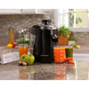 Hamilton Beach Black Stainless Steel 12 oz Juice Extractor