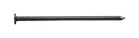 Pro-Fit 3-1/2 in. Box Bright Nail Flat Head 5 lb