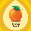 Pledge Revitalizing Oil Orange Scent Furniture Polish 16 oz Spray (Pack of 6)