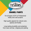 Testors Military Assorted Solvent-Based Paint Set Exterior and Interior 0.25 oz (Pack of 6)