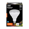 FEIT Electric BR40 E26 (Medium) LED Bulb Soft White 65 Watt Equivalence - Deal of The Week