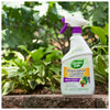 Garden Safe Insect Killer 24 oz. (Pack of 4)