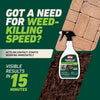 Ortho GroundClear Grass and Weed Killer RTU Liquid 24 oz.