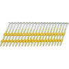 Grip-Rite 2 in. Plastic Strip Framing Nails 21 deg. Ring Shank 1000 pk