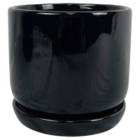Border Concepts 6 in. D Ceramic Cover Pot Black (Pack of 6)