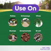 Bonide KleenUP HE 10500 sq. ft. Coverage Area Concentrate Killer 32 oz. for Driveway & Patio