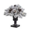 Celebrations 2 ft. Full LED 35 ct Snowy Color Changing Porch Bush