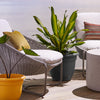 Bloem 10 in. Dia. Polyresin Ariana Planter Charcoal