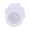 Charlotte Pipe Schedule 40 1/2 in. Spigot x 1/2 in. Dia. Slip PVC Plug (Pack of 50)