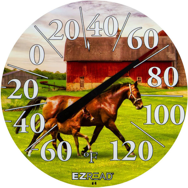 EZRead Indoor/Outdoor Dial Thermometer Horse/Foal 12.5 in