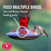 Perky-Pet Hummingbird 24 oz. Glass Nectar Feeder 4 ports (Pack of 2)