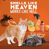 Angry Orange All Pets Liquid Odor Eliminator Premix 24 oz