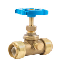Sharkbite 3/4 Ptc  Brass Stop And Waste Valve