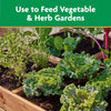Miracle Gro 3003710 2 Lb Water Soluble Plant Food Vegetables & Herbs 18-18-21