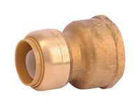 PIPE CNNCTR CAP 3/4X1 inchFM (A)