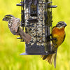 Perky-Pet Wild Bird 2 lb. Metal/Plastic Bird Feeder 6 ports (Pack of 2)