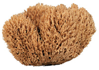 SPONGE NAT SEAWOOL 8-9