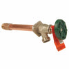 Arrowhead 3/4 in. MIP X 1/2 in. FIP Anti-Siphon Brass Hydrant - Deal of The Week