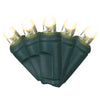 Celebrations Platinum LED Mini Warm White 50 ct String Christmas Lights 25 ft.
