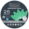 Celebrations Platinum LED C9 Green 25 ct String Christmas Lights 25 ft.