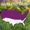 Jonathan Green Black Beauty Heavy Traffic Mixed Full Sun/Medium Shade Grass Seed 7 lb - Deal of The Week