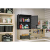 Suncast Cabinet 30.25 in. H X 30 in. W X 12 in. D Black Resin Wall Cabinet
