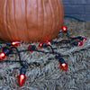 Celebrations Orange 20 ct LED Flicker Flame Halloween String Lights