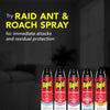 Raid Outdoor Fresh Ant and Roach Killer Aerosol 17.5 oz (Pack of 5)