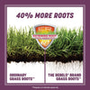 Pennington The Rebels Tall Fescue Grass Partial Shade/Sun Grass Seed 20 lb