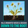 Noxall Non Organic Vegetation Killer Granules 10 lbs. 1000 sq. ft. Coverage - Deal of The Week
