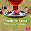 Perky-Pet Hummingbird 16 oz. Glass Nectar Feeder 4 ports (Pack of 2)