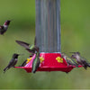 Perky-Pet Hummingbird 30 oz Glass/Plastic Nectar Feeder 6 ports (Pack of 2).