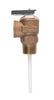 Cash Acme MNPT Bronze Temperature and Pressure Relief Valve FNPT - Deal of The Week