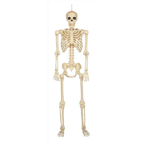 Decoración de Halloween de esqueleto Seasons, 60 in.
