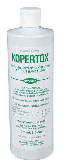 KOPERTOX 16OZ (A) - Deal of The Week