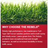 Pennington The Rebels Tall Fescue Grass Sun or Shade Grass Seed 3 lb - Deal of The Week