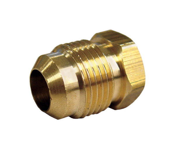 JMF 1/4 in. Flare Yellow Brass Hex Plug (Pack of 10)