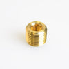 1/4 in. MPT Brass Counter Sunk Plug (Pack of 5)