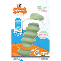 Nylabone Puppy Teething Stick