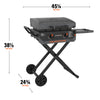 Blackstone 2 Burner Liquid Propane Outdoor Griddle Black