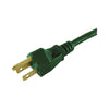 Projex Indoor or Outdoor 80 ft. L Green Extension Cord 16/3