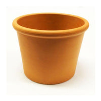 Deroma 4.3 in. H X 5.5 in. D Clay Standard Planter Terracotta